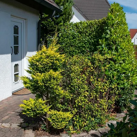 Ferienwohnungen Hofmann Zingst Exterior photo